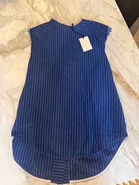 Tela Blue Pinstriped Cap-Sleeve Tunic